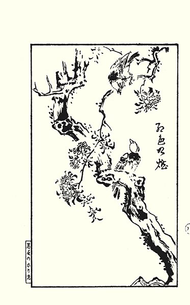 photo15.jpg