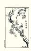 photo15_small.jpg