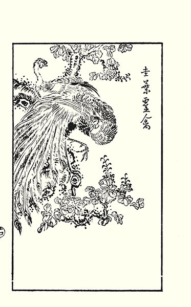 photo26.jpg