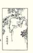 photo32_small.jpg