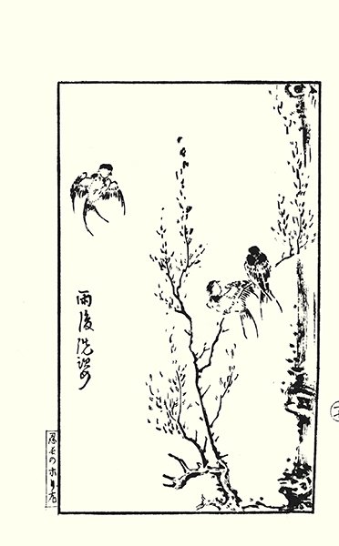 photo33.jpg