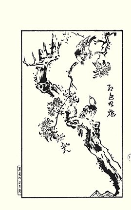 photo15.jpg