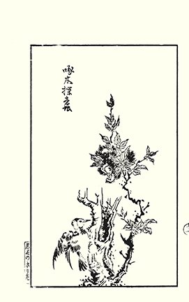 photo21.jpg