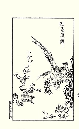photo29.jpg