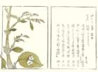 photo12_small.jpg