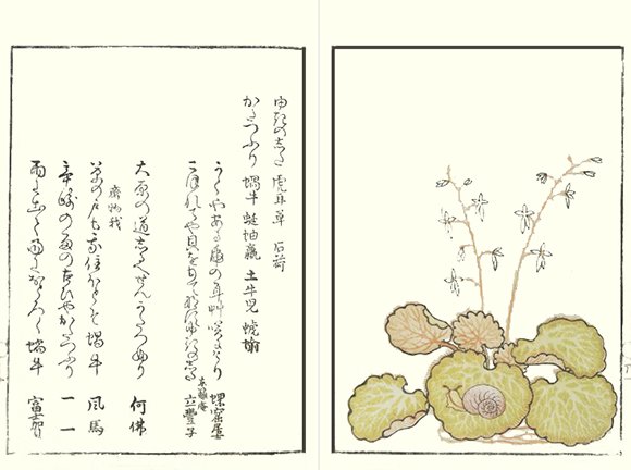 photo18.jpg