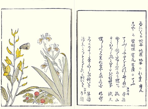 photo21.jpg