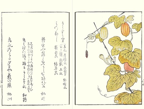 photo28.jpg