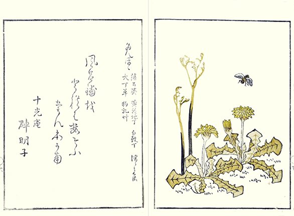 photo3.jpg