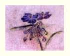 photo10_small.jpg