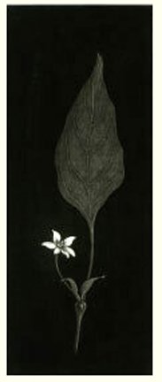 photo14.jpg