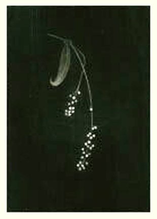 photo17.jpg