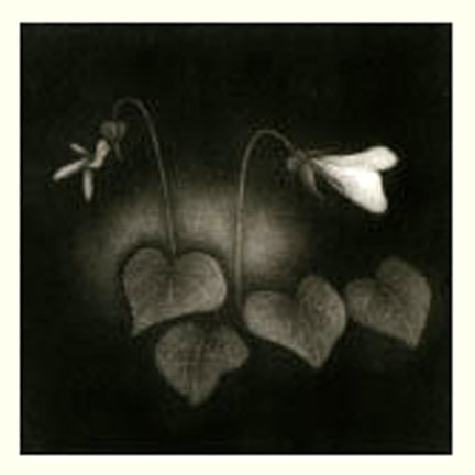 photo19.jpg