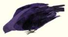 photo13_small.jpg