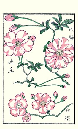 photo25.jpg
