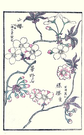 photo31.jpg