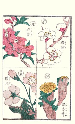 photo7.jpg