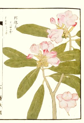 photo20.jpg
