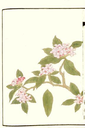 photo23.jpg