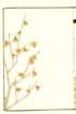 photo39_small.jpg