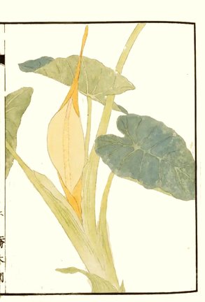photo9.jpg