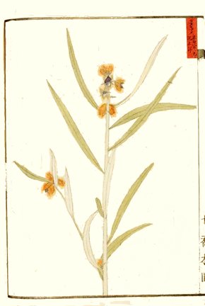 photo20.jpg
