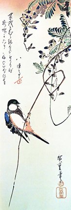 photo.jpg