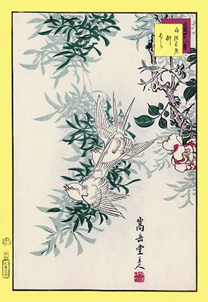 photo17.jpg