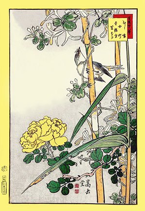 photo21.jpg