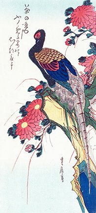 photo10.jpg