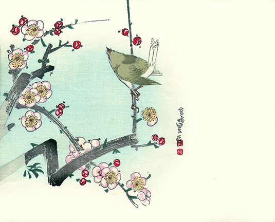 photo16.jpg