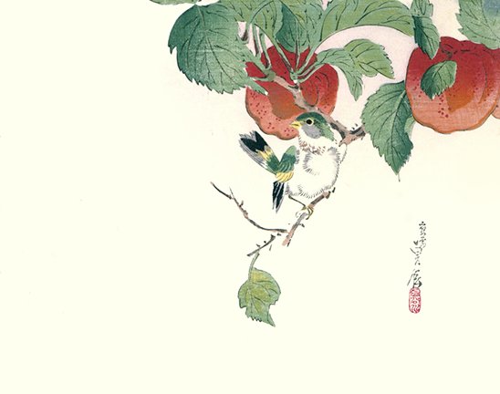 photo20.jpg