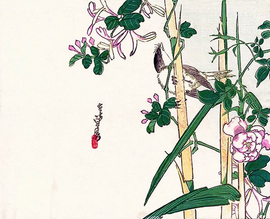 photo23.jpg