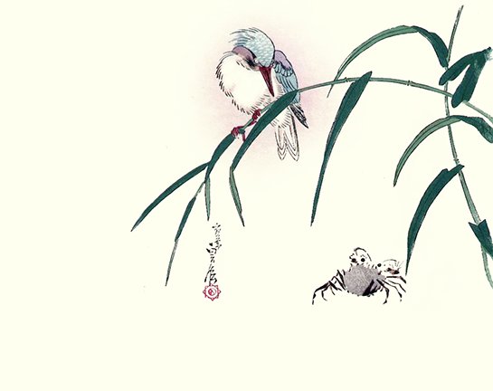photo27.jpg
