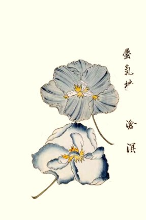 photo15.jpg