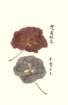 photo18_small.jpg