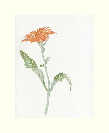 photo23.jpg