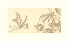 photo24_small.jpg