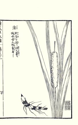 photo17.jpg