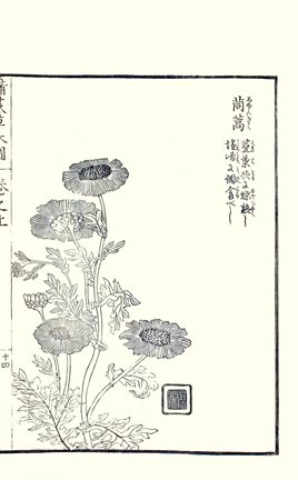 photo24.jpg