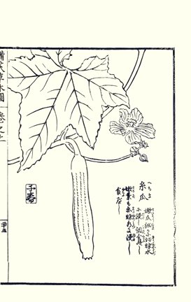photo42.jpg