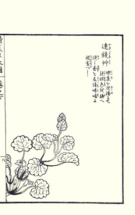 photo57.jpg