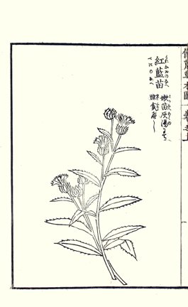 photo6.jpg