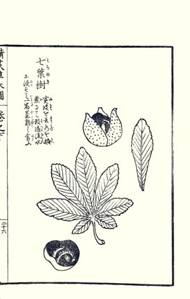 photo91.jpg