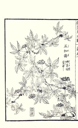 photo96.jpg