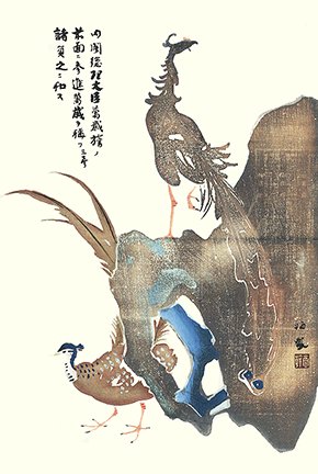 photo17.jpg