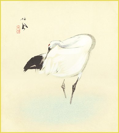 photo22.jpg