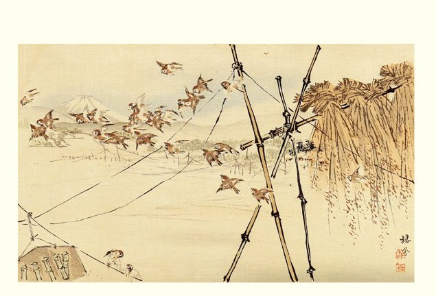 photo27.jpg