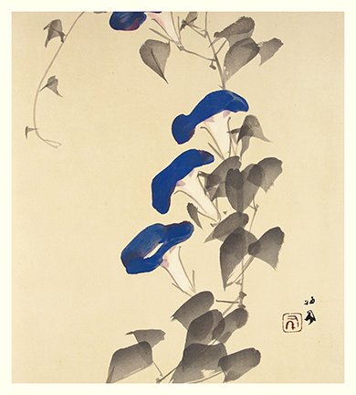 photo6.jpg