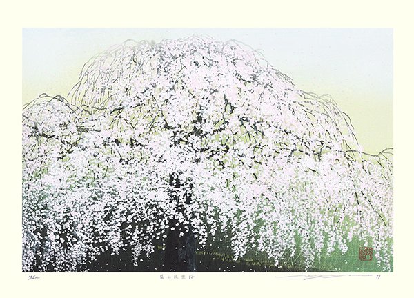photo27.jpg